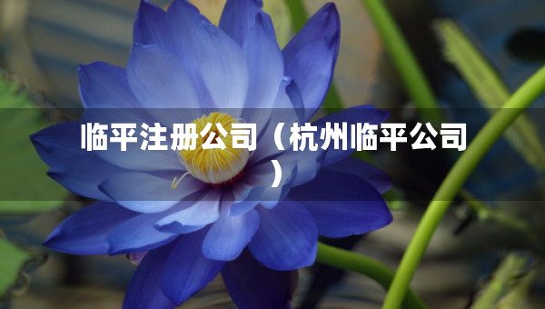 临平注册公司（杭州临平公司）