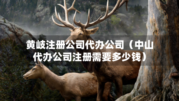 黄岐注册公司代办公司（中山代办公司注册需要多少钱）