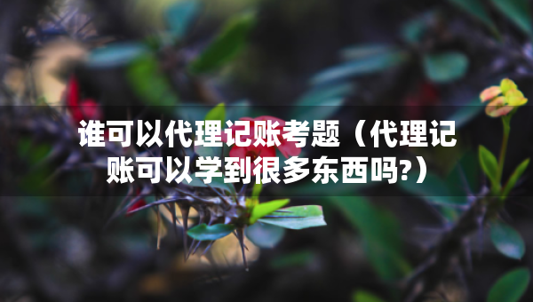 谁可以代理记账考题（代理记账可以学到很多东西吗?）