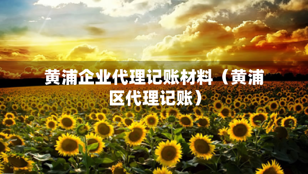 黄浦企业代理记账材料（黄浦区代理记账）