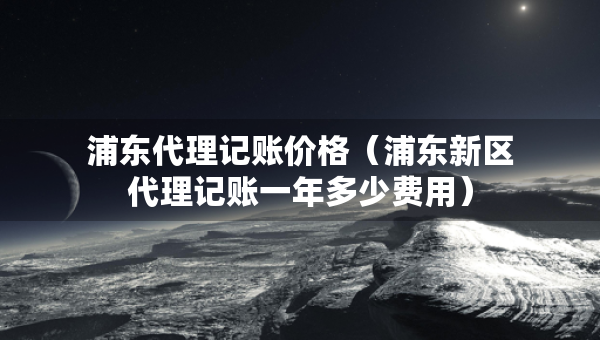 浦东代理记账价格（浦东新区代理记账一年多少费用）