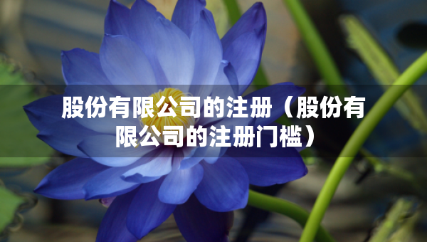 股份有限公司的注册（股份有限公司的注册门槛）