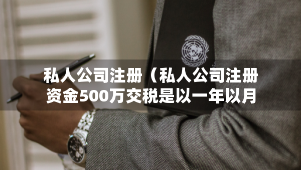 私人公司注册（私人公司注册资金500万交税是以一年以月交）