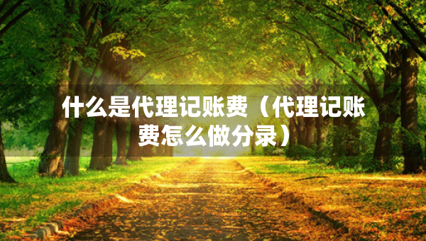 什么是代理记账费（代理记账费怎么做分录）