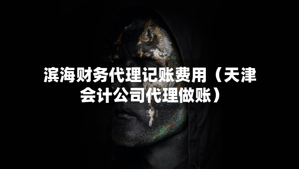 滨海财务代理记账费用（天津会计公司代理做账）