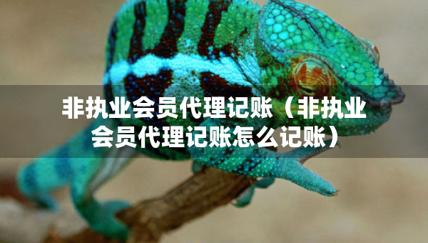非执业会员代理记账（非执业会员代理记账怎么记账）