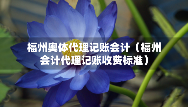 福州奥体代理记账会计（福州会计代理记账收费标准）