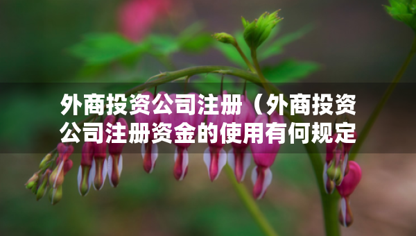 外商投资公司注册（外商投资公司注册资金的使用有何规定）