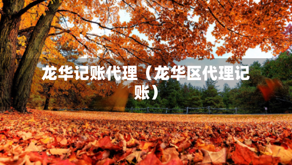 龙华记账代理（龙华区代理记账）
