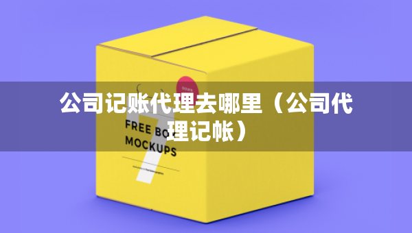 公司记账代理去哪里（公司代理记帐）