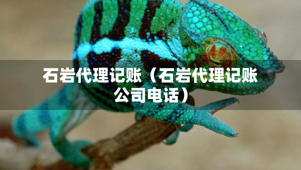 石岩代理记账（石岩代理记账公司电话）