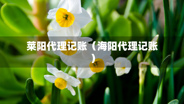 莱阳代理记账（海阳代理记账）