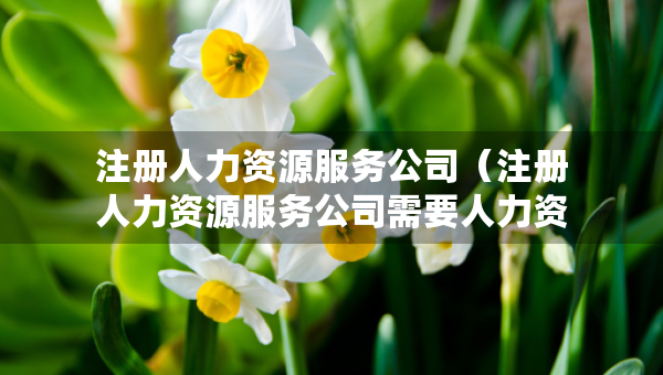 注册人力资源服务公司（注册人力资源服务公司需要人力资源管理师证书吗）