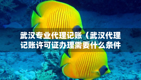 武汉专业代理记账（武汉代理记账许可证办理需要什么条件）
