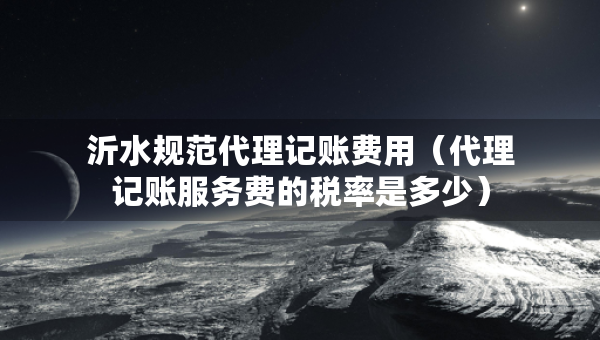 沂水规范代理记账费用（代理记账服务费的税率是多少）