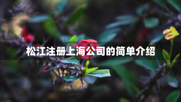 松江注册上海公司的简单介绍