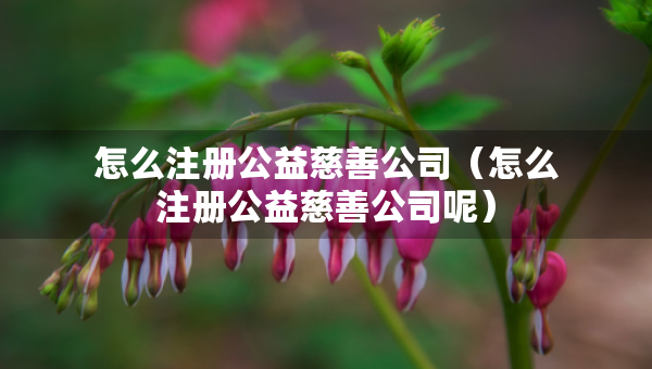 怎么注册公益慈善公司（怎么注册公益慈善公司呢）