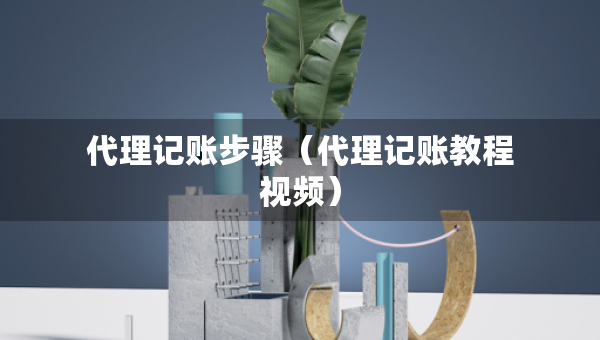 代理记账步骤（代理记账教程视频）