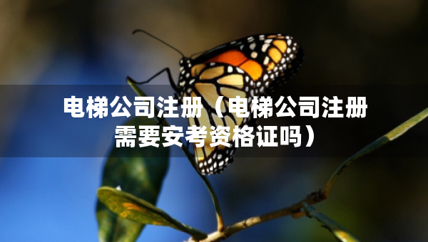 电梯公司注册（电梯公司注册需要安考资格证吗）