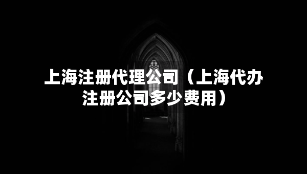 上海注册代理公司（上海代办注册公司多少费用）