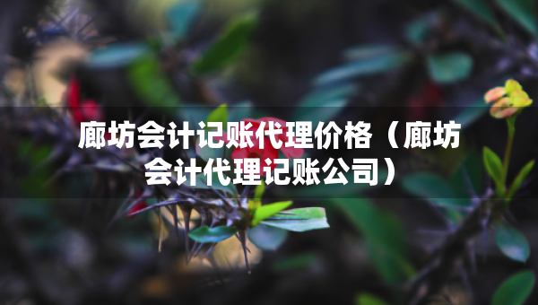 廊坊会计记账代理价格（廊坊会计代理记账公司）