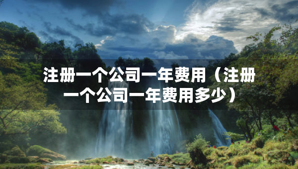 注册一个公司一年费用（注册一个公司一年费用多少）