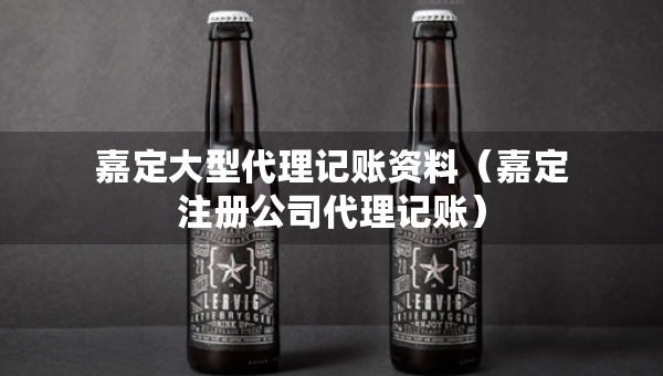 嘉定大型代理记账资料（嘉定注册公司代理记账）