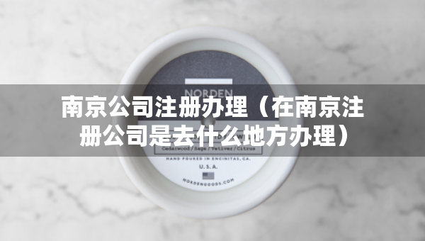 南京公司注册办理（在南京注册公司是去什么地方办理）