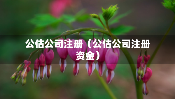 公估公司注册（公估公司注册资金）