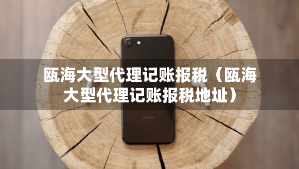 瓯海大型代理记账报税（瓯海大型代理记账报税地址）