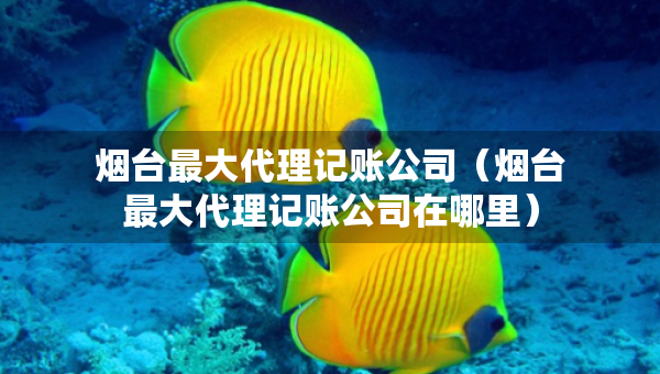 烟台最大代理记账公司（烟台最大代理记账公司在哪里）