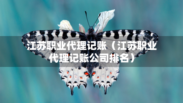 江苏职业代理记账（江苏职业代理记账公司排名）