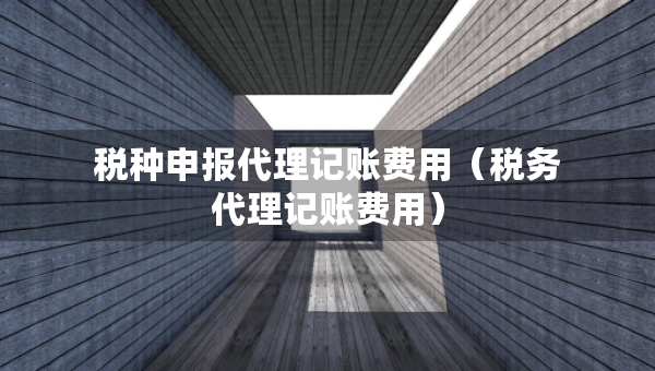 税种申报代理记账费用（税务代理记账费用）