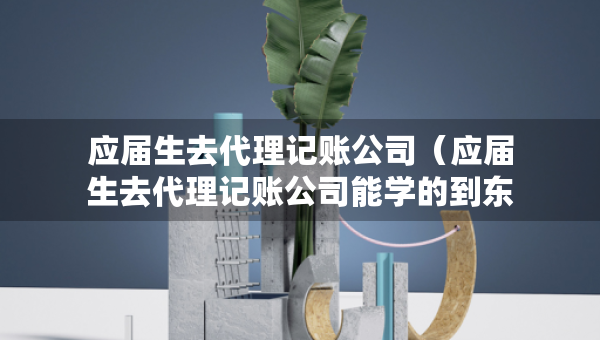 应届生去代理记账公司（应届生去代理记账公司能学的到东西吗）