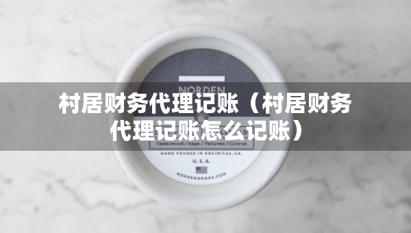 村居财务代理记账（村居财务代理记账怎么记账）