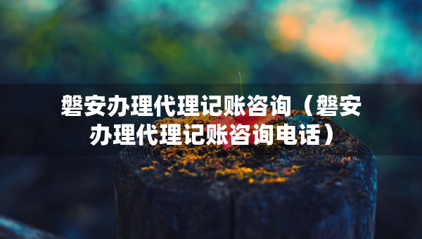 磐安办理代理记账咨询（磐安办理代理记账咨询电话）