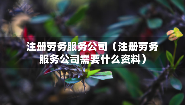 注册劳务服务公司（注册劳务服务公司需要什么资料）