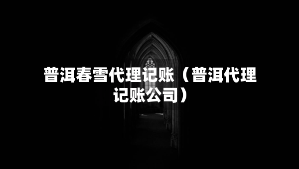 普洱春雪代理记账（普洱代理记账公司）