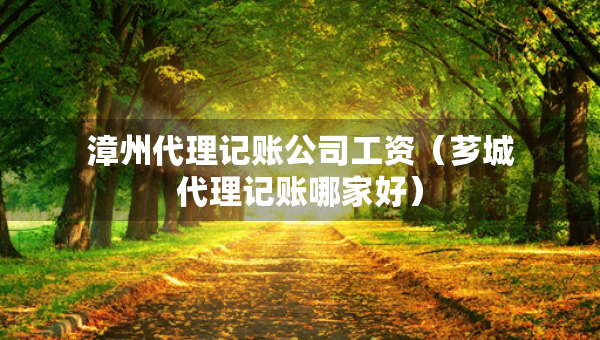 漳州代理记账公司工资（芗城代理记账哪家好）