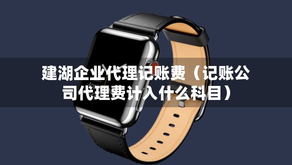 建湖企业代理记账费（记账公司代理费计入什么科目）