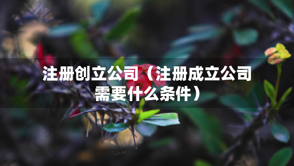 注册创立公司（注册成立公司需要什么条件）