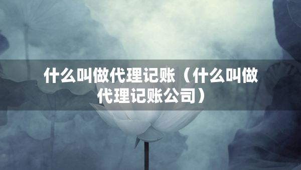 什么叫做代理记账（什么叫做代理记账公司）