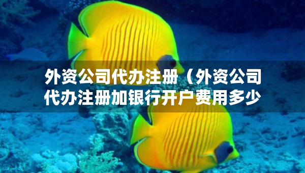 外资公司代办注册（外资公司代办注册加银行开户费用多少钱）