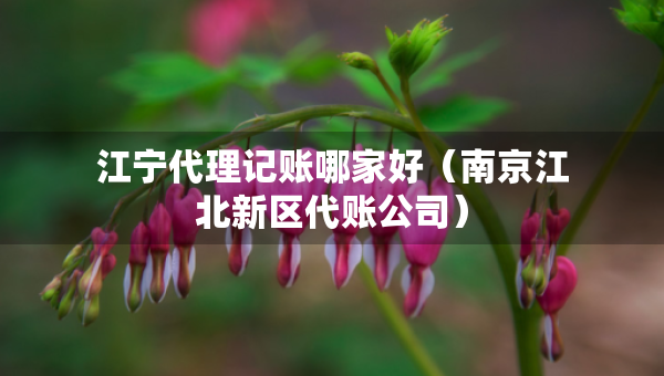 江宁代理记账哪家好（南京江北新区代账公司）