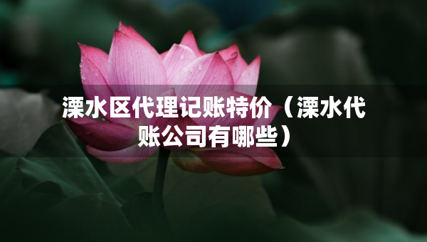 溧水区代理记账特价（溧水代账公司有哪些）