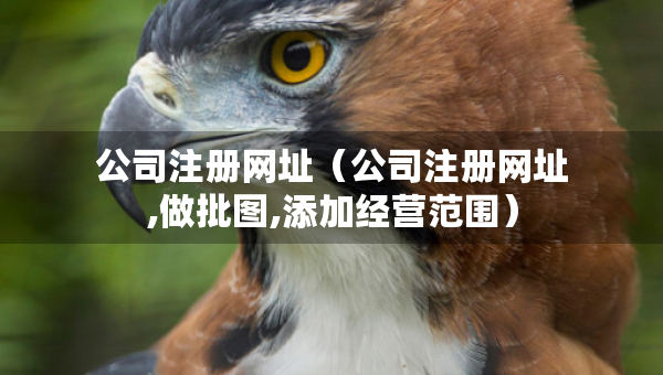 公司注册网址（公司注册网址,做批图,添加经营范围）