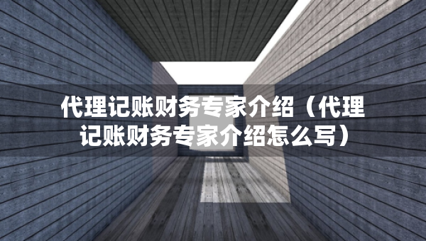 代理记账财务专家介绍（代理记账财务专家介绍怎么写）