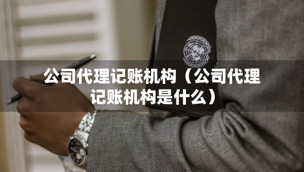 公司代理记账机构（公司代理记账机构是什么）