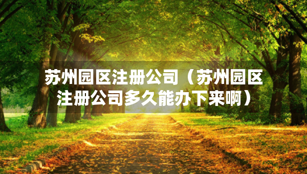 苏州园区注册公司（苏州园区注册公司多久能办下来啊）