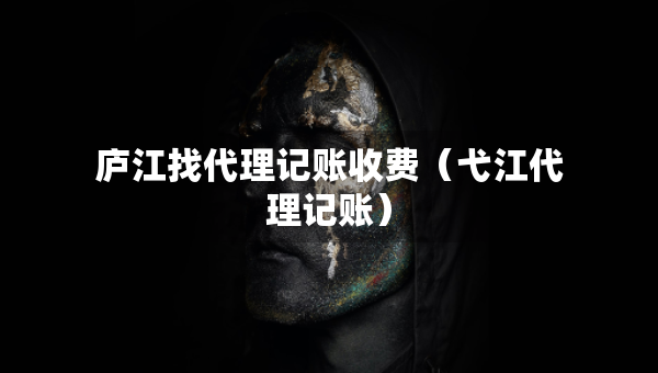 庐江找代理记账收费（弋江代理记账）